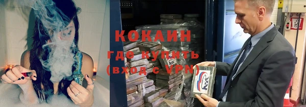 шишки Новокубанск
