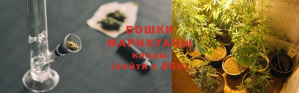 дживик Нея