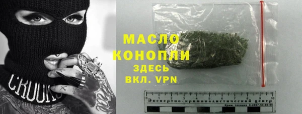 молекула духа Новозыбков