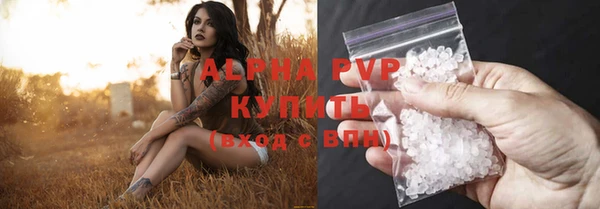 шишки Новокубанск