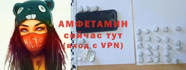 шишки Новокубанск