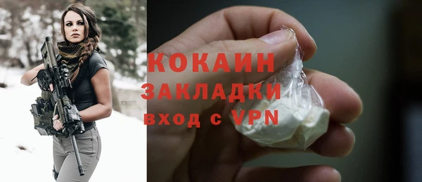 молекула духа Новозыбков