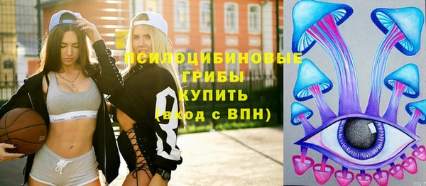 дживик Нея