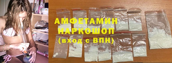 молекула духа Новозыбков