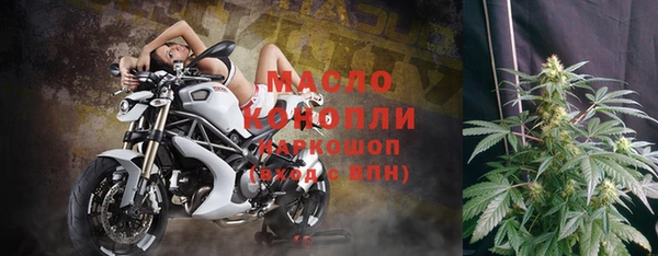 молекула духа Новозыбков