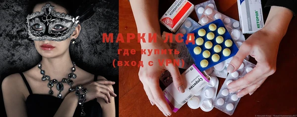 шишки Новокубанск