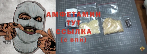 молекула духа Новозыбков