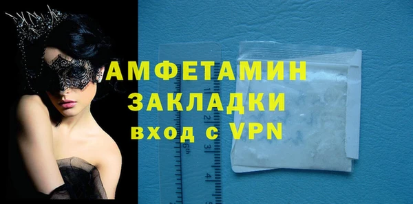 молекула духа Новозыбков