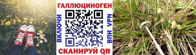 Галлюциногенные грибы MAGIC MUSHROOMS Знаменск