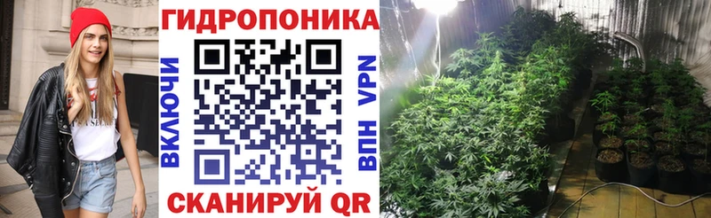 Конопля сатива дарнет шоп mega tor Знаменск